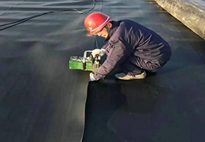 桃花成视频人APP黄下载膜施工案例